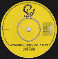 Peter Hofer : Somewhere There's Gotta Be Me (7", Single)