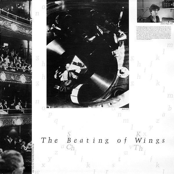 Andrew Poppy : The Beating Of Wings (LP, Album)