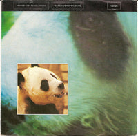 Frankie Goes To Hollywood : Watching The Wildlife (7", Single)