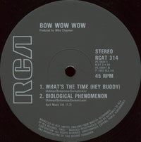 Bow Wow Wow : Do You Wanna Hold Me? (12")