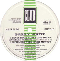 Barry White : Never, Never Gonna Give You Up (Paul Hardcastle Remix) (12")