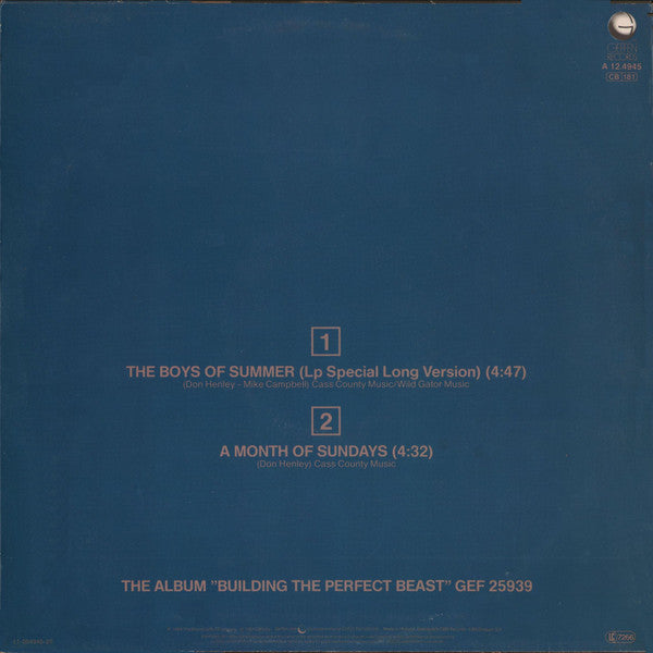 Don Henley : The Boys Of Summer (LP Special Long Version) / A Month Of Sundays (12", Maxi)
