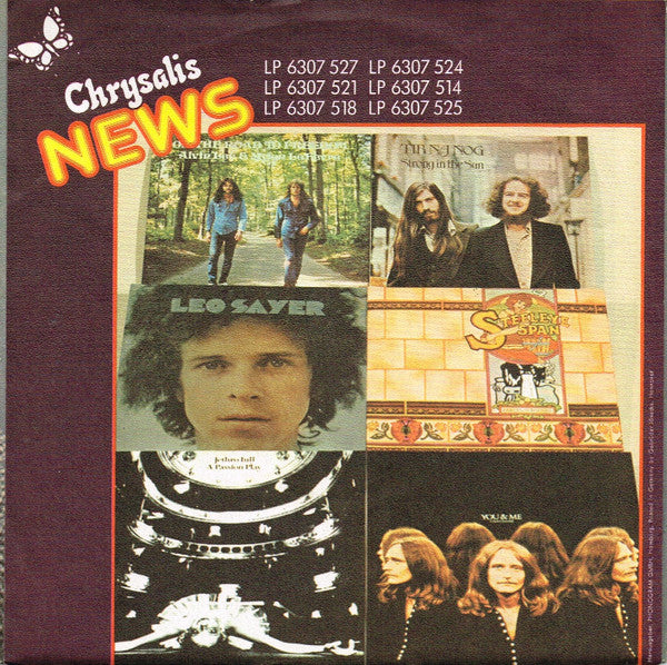 Brian Protheroe : Fly Now (7", Single)