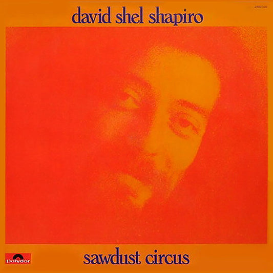 David Shel Shapiro* : Sawdust Circus (LP, Album)