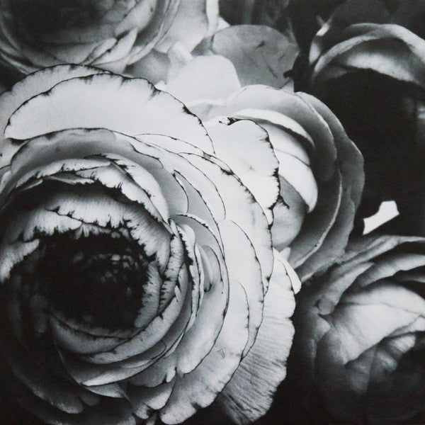 Sivert Høyem : Lioness (LP, Album)