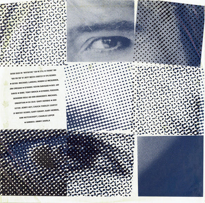 Rod Stewart : Camouflage (LP, Album, G)