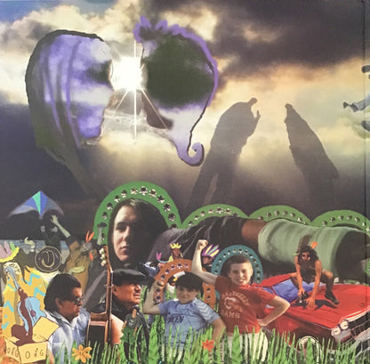 Turin Brakes : The Optimist LP (LP, Album)