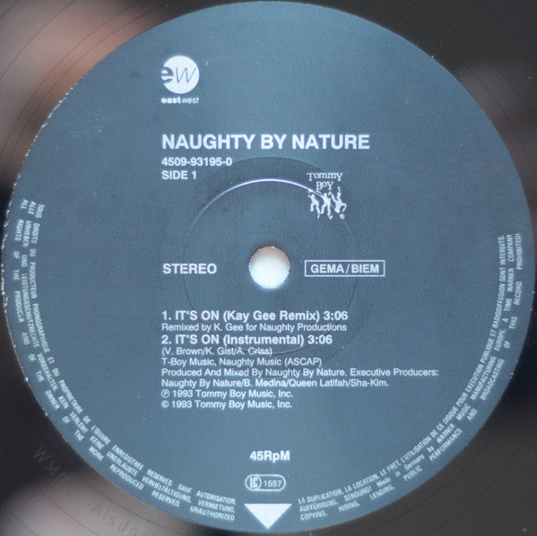Naughty By Nature : It's On (12")