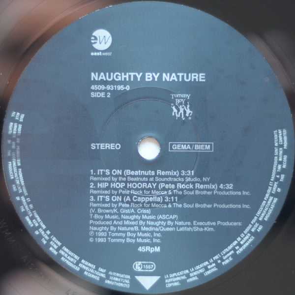Naughty By Nature : It's On (12")