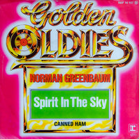 Norman Greenbaum : Spirit In The Sky (7", Single)