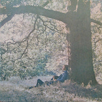 Yoko Ono / Plastic Ono Band* : Yoko Ono / Plastic Ono Band (LP, Album, Jac)