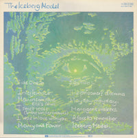 John Watts : The Iceberg Model (LP, Album)