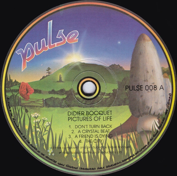 Didier Bocquet : Pictures Of Life (LP, Album)