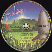 Didier Bocquet : Pictures Of Life (LP, Album)