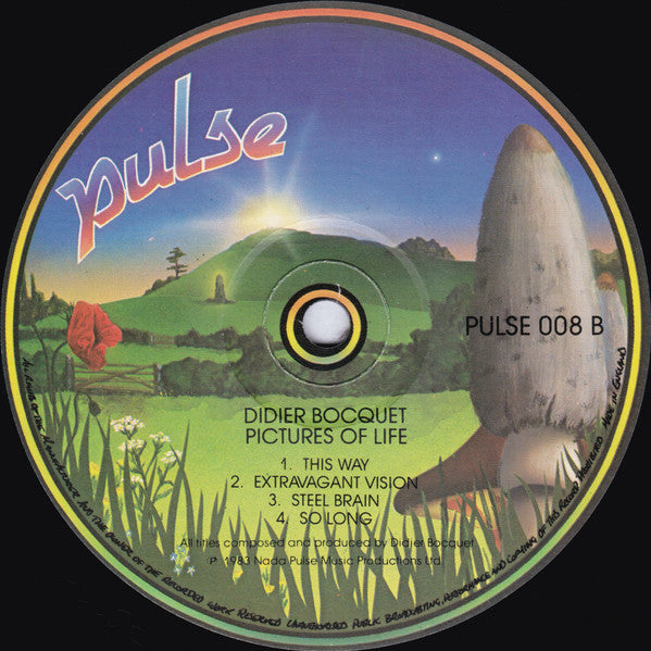 Didier Bocquet : Pictures Of Life (LP, Album)