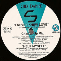 Chez Damier : I Never Knew Love (12")