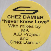 Chez Damier : I Never Knew Love (12")
