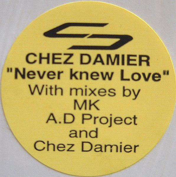 Chez Damier : I Never Knew Love (12")