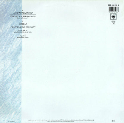 Bill Withers : Ain't No Sunshine (Total Eclipse Mix) (12")