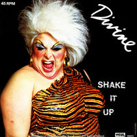 Divine : Shake It Up (12")