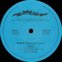 Divine : Shake It Up (12")