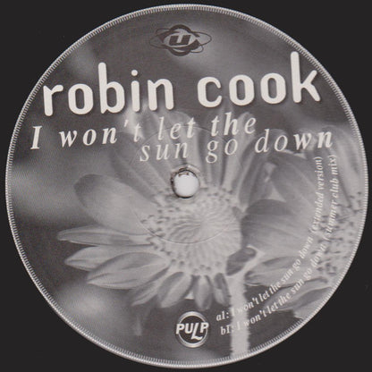 Robin Cook : I Won't Let The Sun Go Down (12")