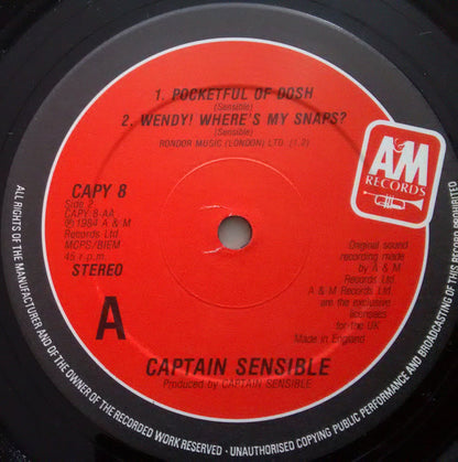 Captain Sensible : One Christmas Catalogue (12", Ltd)
