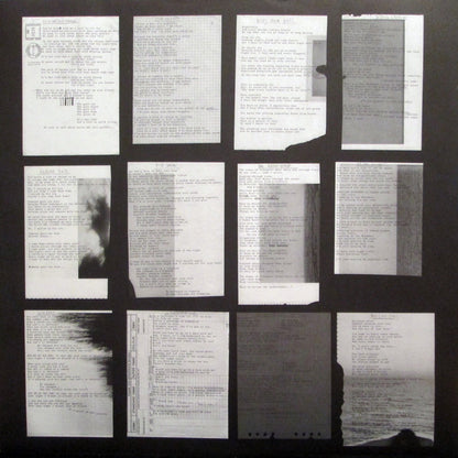 Maxïmo Park : Our Earthly Pleasures (LP, Album)