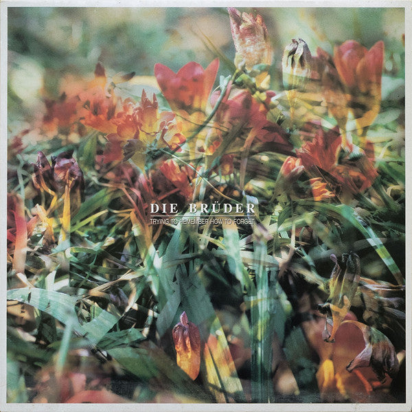Die Brüder : Trying To Remember How To Forget (LP, Album)