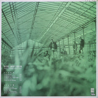 Die Brüder : Trying To Remember How To Forget (LP, Album)