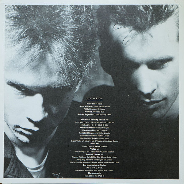 Die Brüder : Trying To Remember How To Forget (LP, Album)