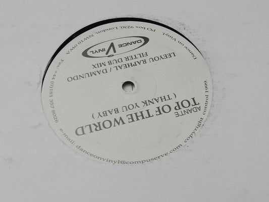 Adant'e : Top Of The World (Thank You Baby) (12")