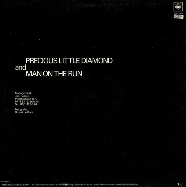 Fox The Fox : Precious Little Diamond (Special Remix) (12", Maxi)