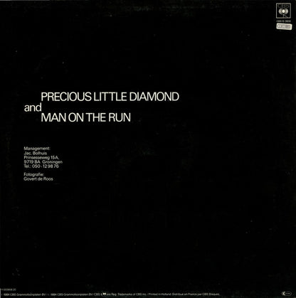 Fox The Fox : Precious Little Diamond (Special Remix) (12", Maxi)