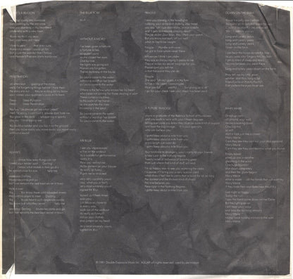 Tom Verlaine : Dreamtime (LP, Album)