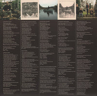 James Yorkston : Roaring The Gospel (LP, Album, Comp)