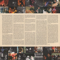 James Yorkston : Roaring The Gospel (LP, Album, Comp)