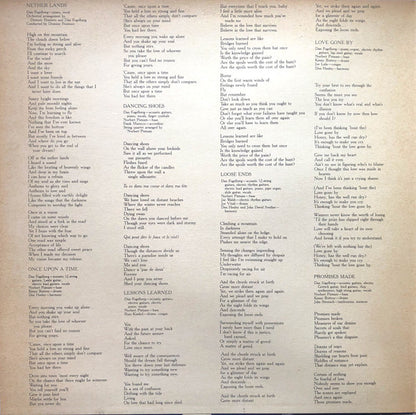 Dan Fogelberg : Nether Lands (LP, Album, Gat)