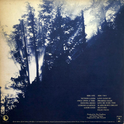 Dan Fogelberg : Nether Lands (LP, Album, Gat)