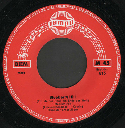 Orchester Christian Bruhn / Ernst Jäger Und Sein Orchester : Wunderland Bei Nacht / Blueberry Hill (Ein Kleines Haus) (7", Mono)