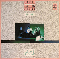 Shell And The Ocean : Desire (One Night In Paris Mix) (12", Maxi)