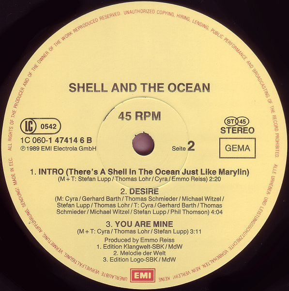 Shell And The Ocean : Desire (One Night In Paris Mix) (12", Maxi)