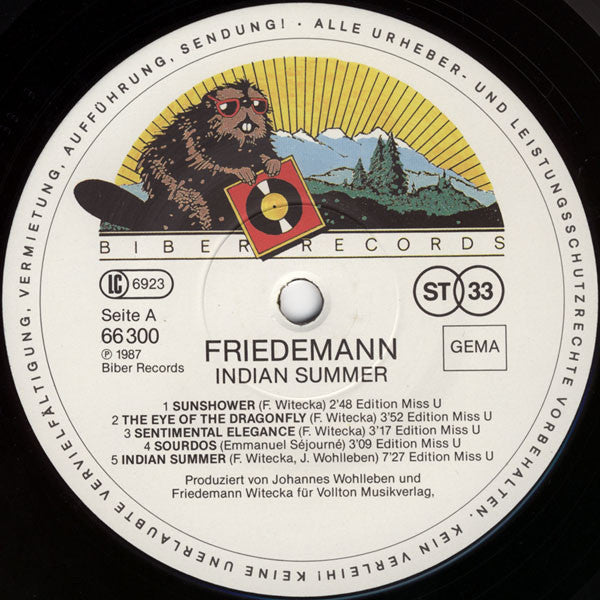 Friedemann : Indian Summer (LP, Album)