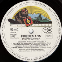Friedemann : Indian Summer (LP, Album)