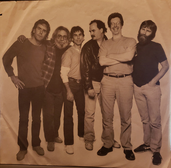 Grateful Dead* : In The Dark (LP, Album, SRC)