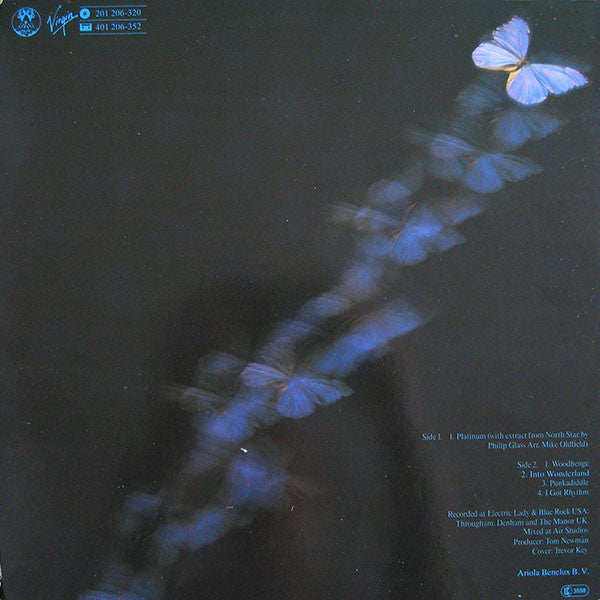 Mike Oldfield : Platinum (LP, Album)