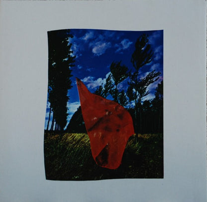 Pink Floyd : Wish You Were Here (LP, Album, RE)