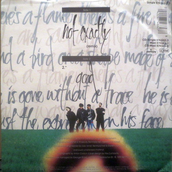 Rainbirds : Not Exactly (7", Single)