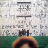 Rainbirds : Not Exactly (7", Single)