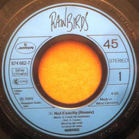 Rainbirds : Not Exactly (7", Single)